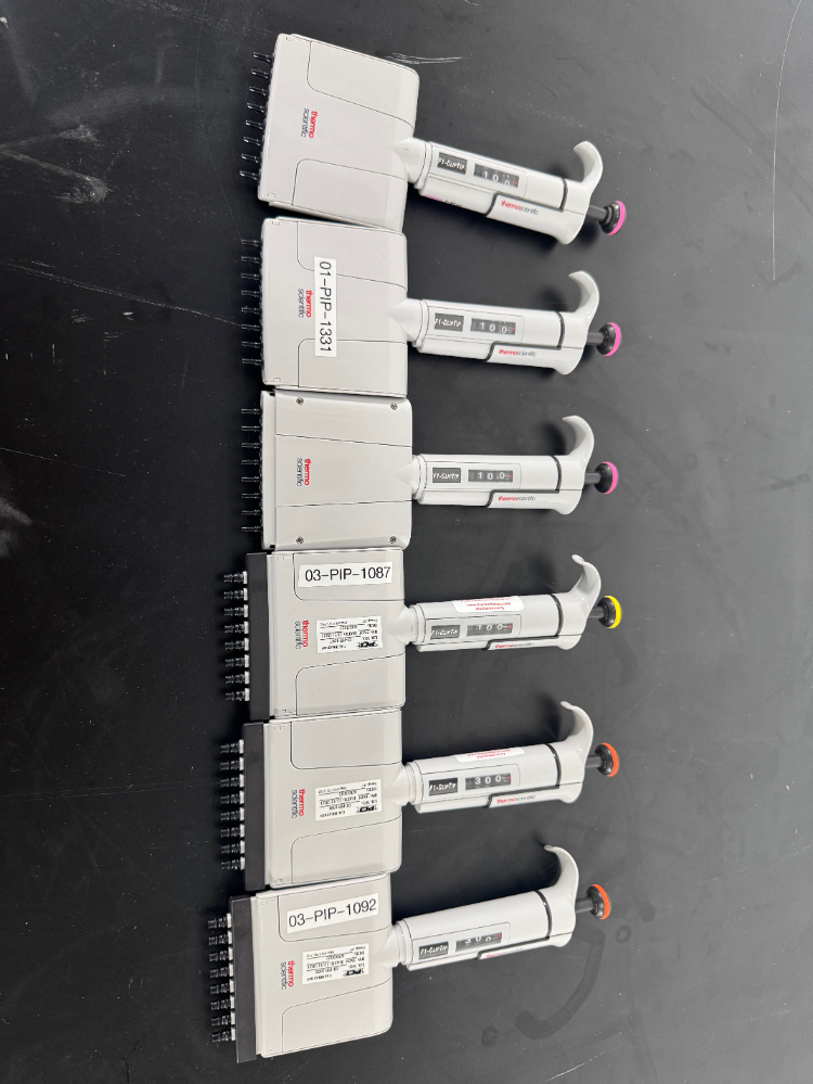 Image of Thermo F1-ClipTip Multichannel Pipettes - Quantity 6